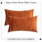 Woaboy Pack of 2 Fall Striped Velvet Throw Pillow Covers Orange Modern Decorative Couch Throws Square Soft Cozy Pillowcases for Bed Sofa Cushion Living Room 12x20 Inch